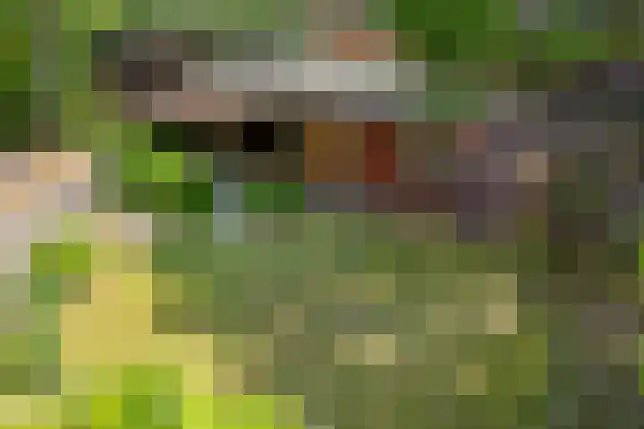 Steenbakkersweg 7 367 Erm thumbnail 36