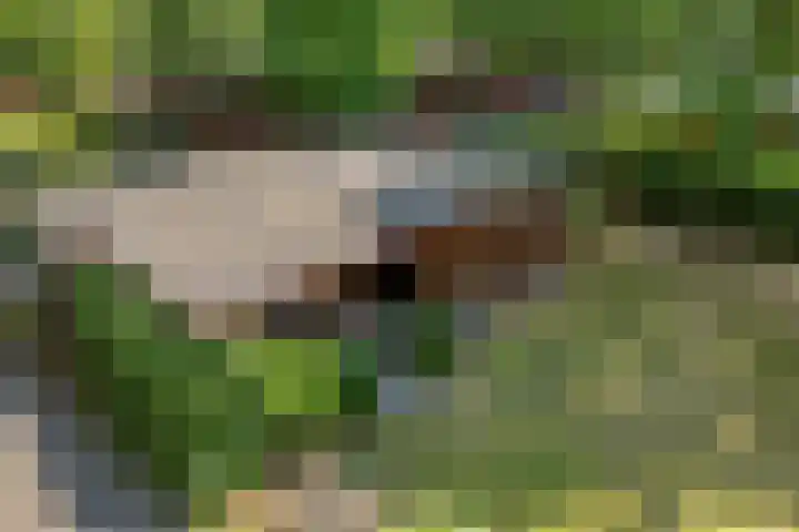Steenbakkersweg 7 367 Erm thumbnail 37