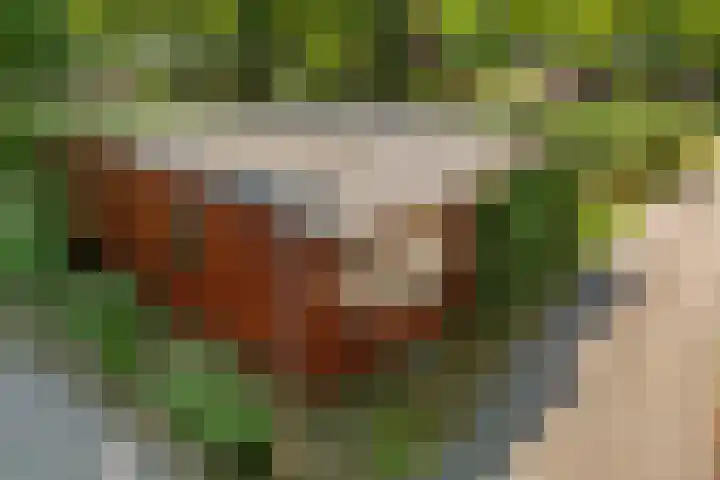 Steenbakkersweg 7 367 Erm thumbnail 38
