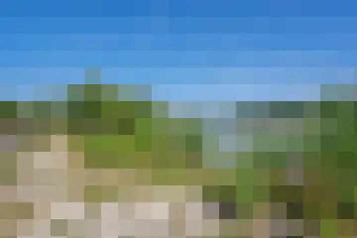 Steenbakkersweg 7 367 Erm thumbnail 40