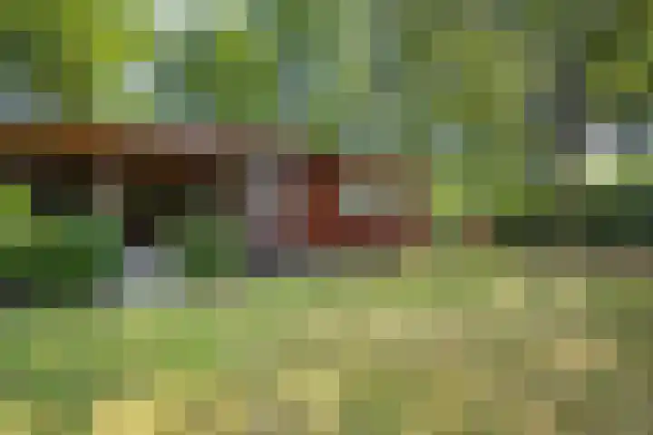 Steenbakkersweg 7 367 Erm thumbnail 6