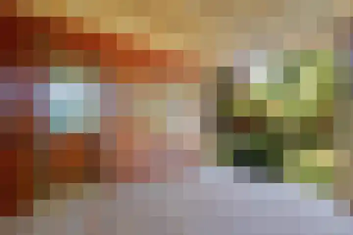 Steenbakkersweg 7 367 Erm thumbnail 7
