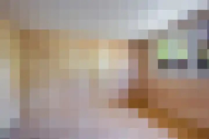 Steenbakkersweg 7 367 Erm thumbnail 9