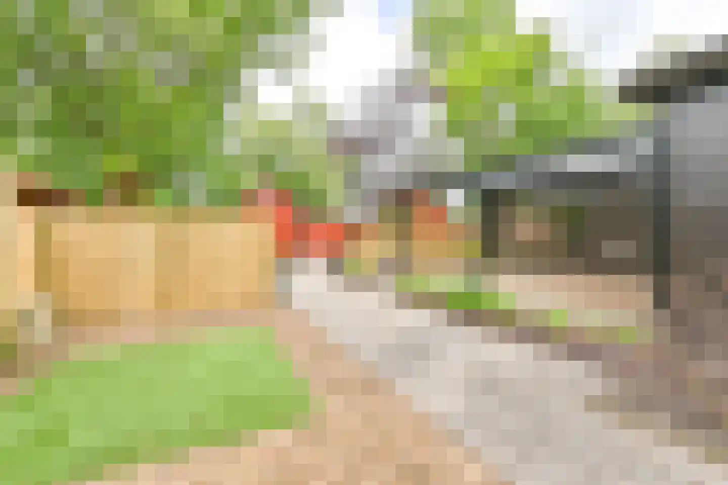 Steenbakkersweg 7 371 Erm thumbnail 12