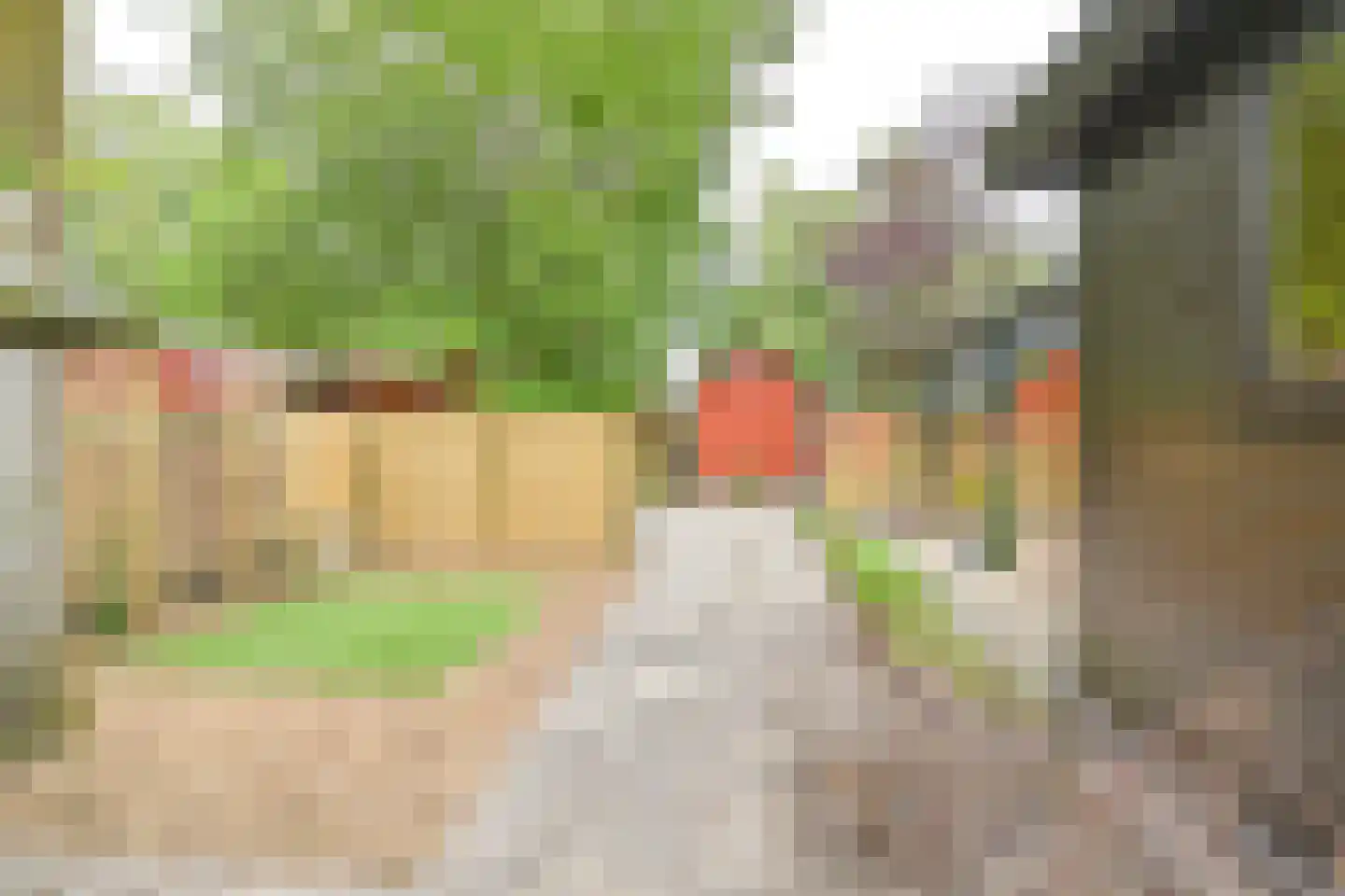 Steenbakkersweg 7 371 Erm thumbnail 13