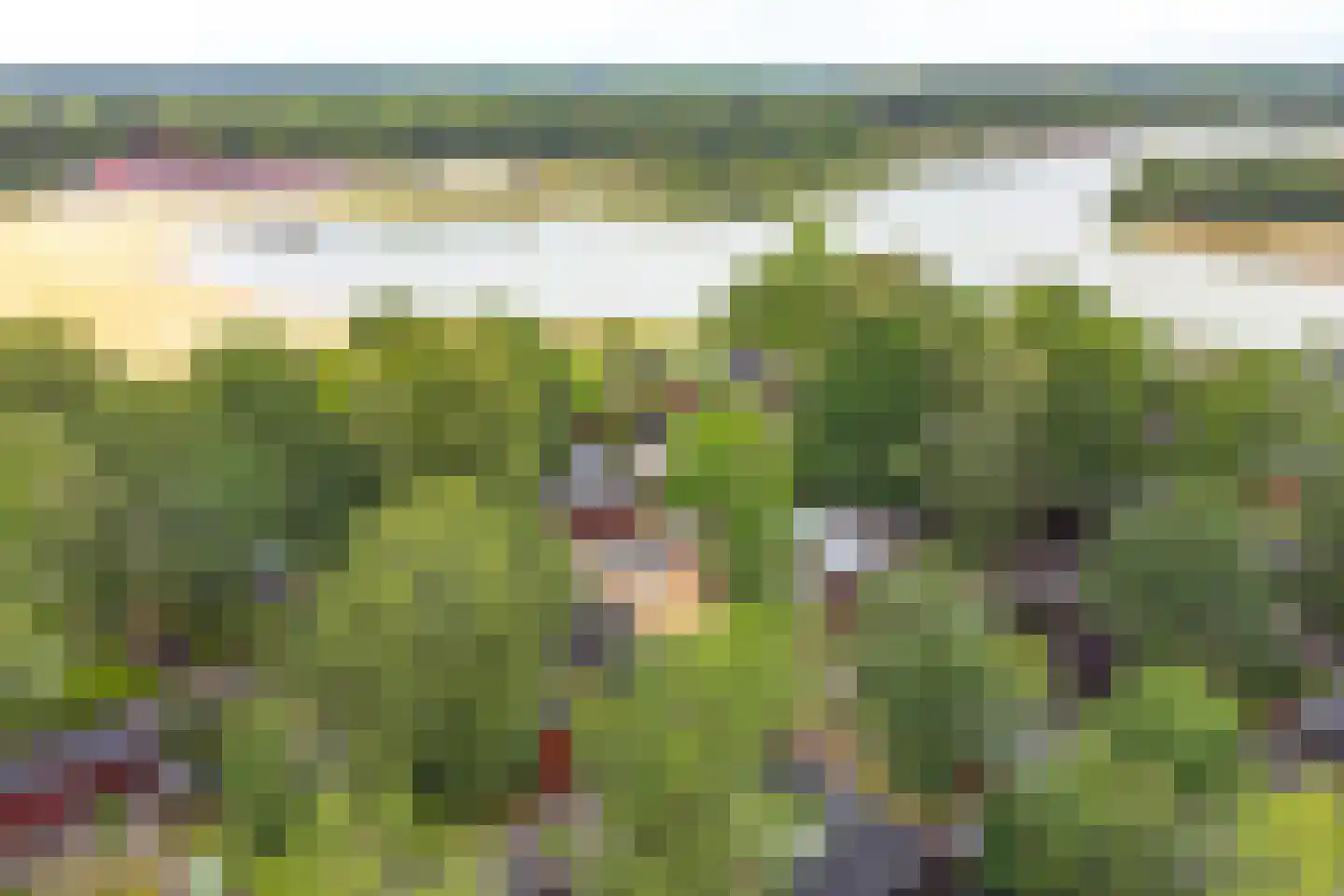 Steenbakkersweg 7 371 Erm thumbnail 5