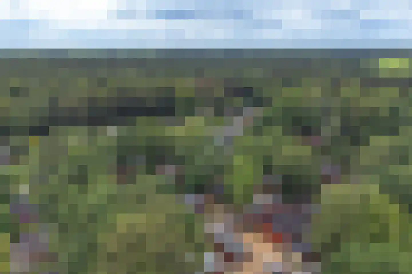 Steenbakkersweg 7 371 Erm thumbnail 58