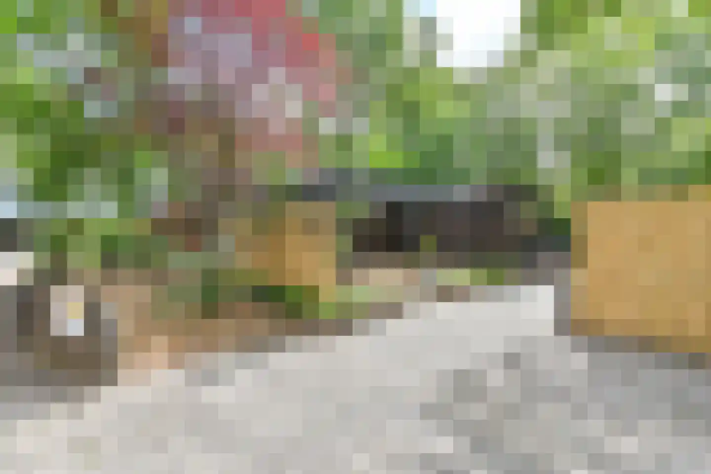 Steenbakkersweg 7 371 Erm thumbnail 9