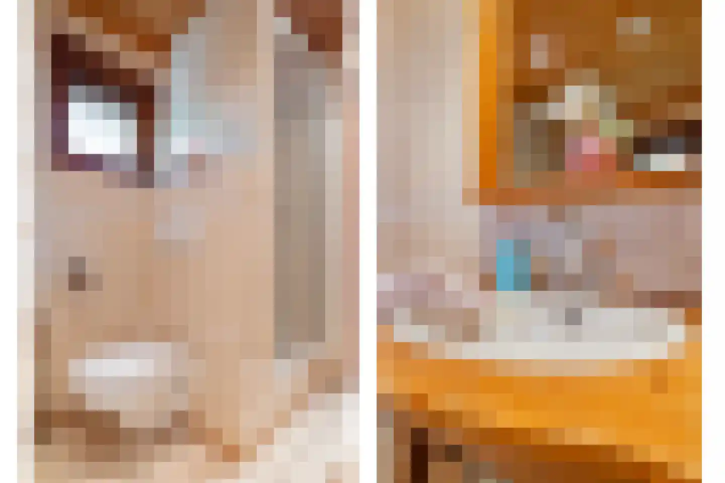Steenbakkersweg 7 386 Erm thumbnail 13