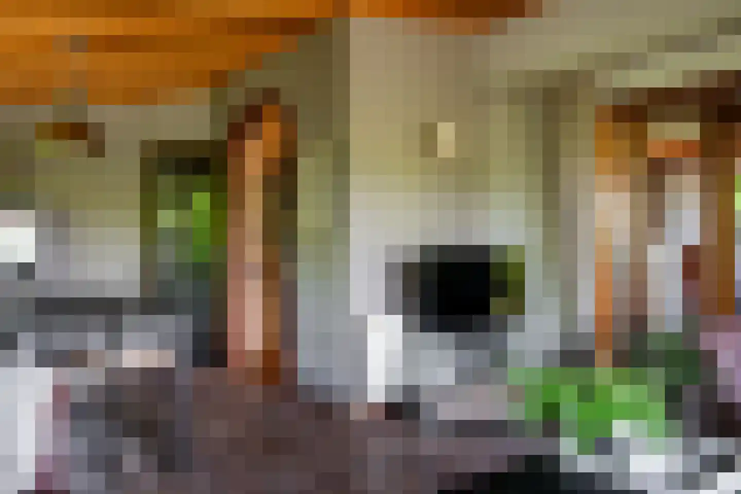 Steenbakkersweg 7 386 Erm thumbnail 24