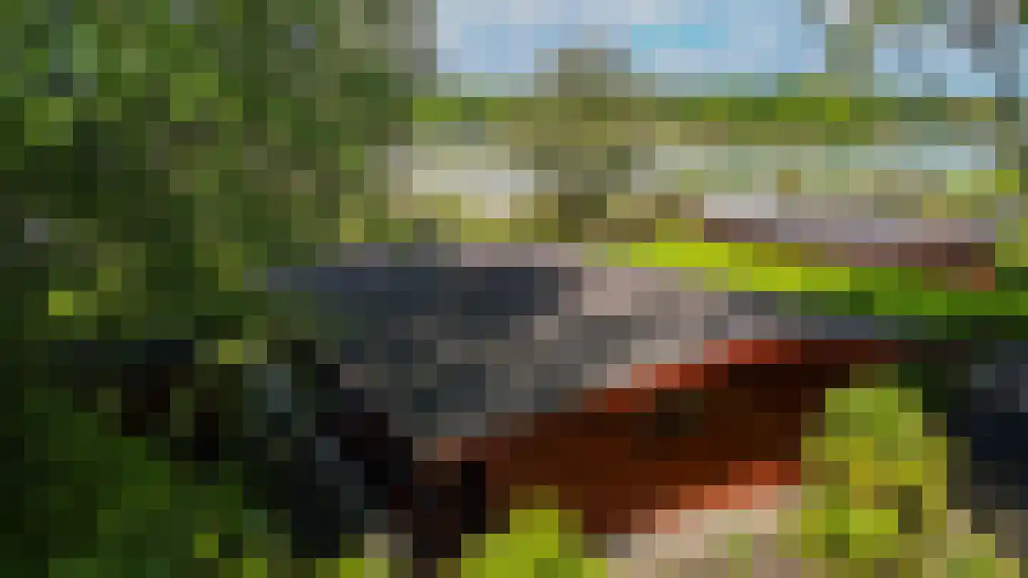 Steenbakkersweg 7 386 Erm foto 3