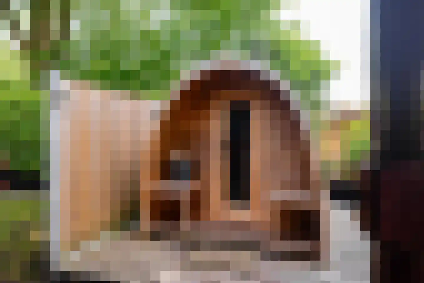 Steenbakkersweg 7 386 Erm thumbnail 35
