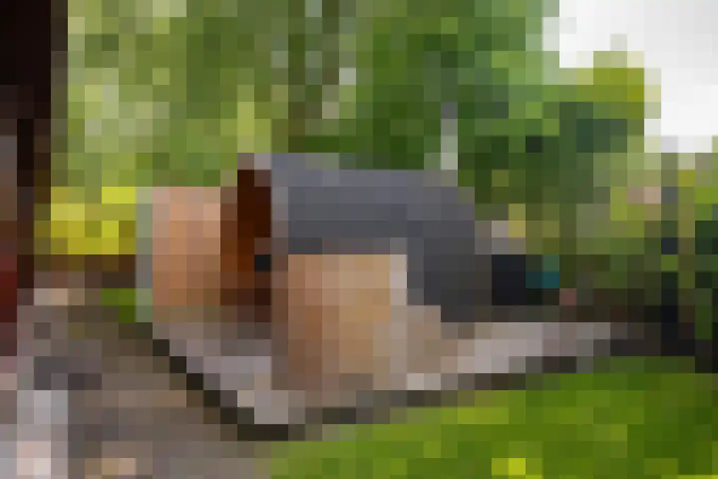Steenbakkersweg 7 386 Erm thumbnail 36