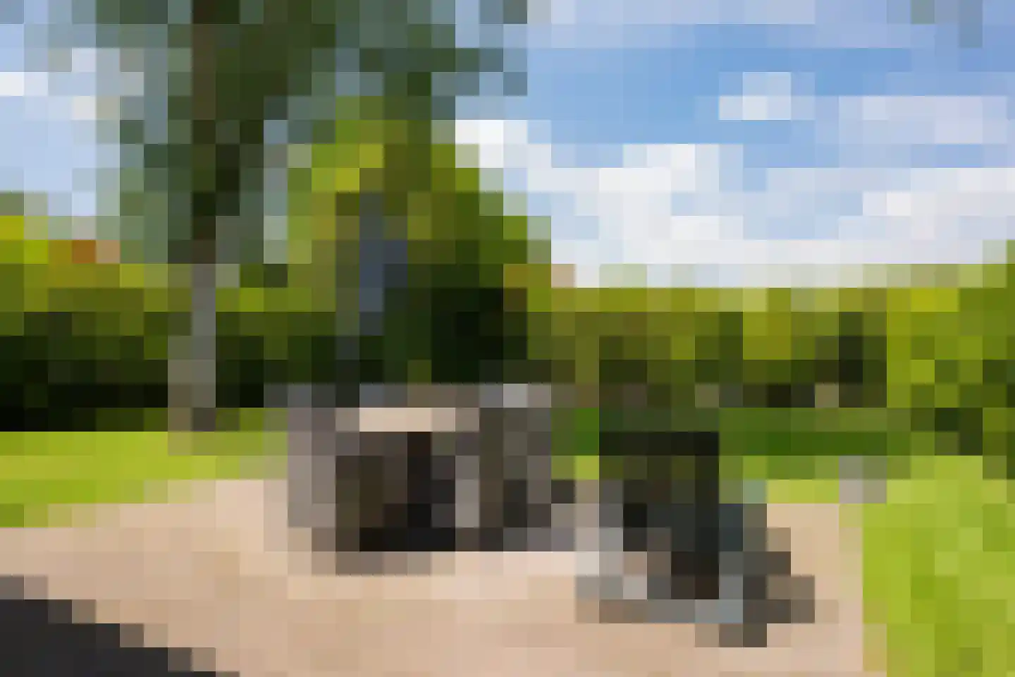 Steenbakkersweg 7 386 Erm thumbnail 39