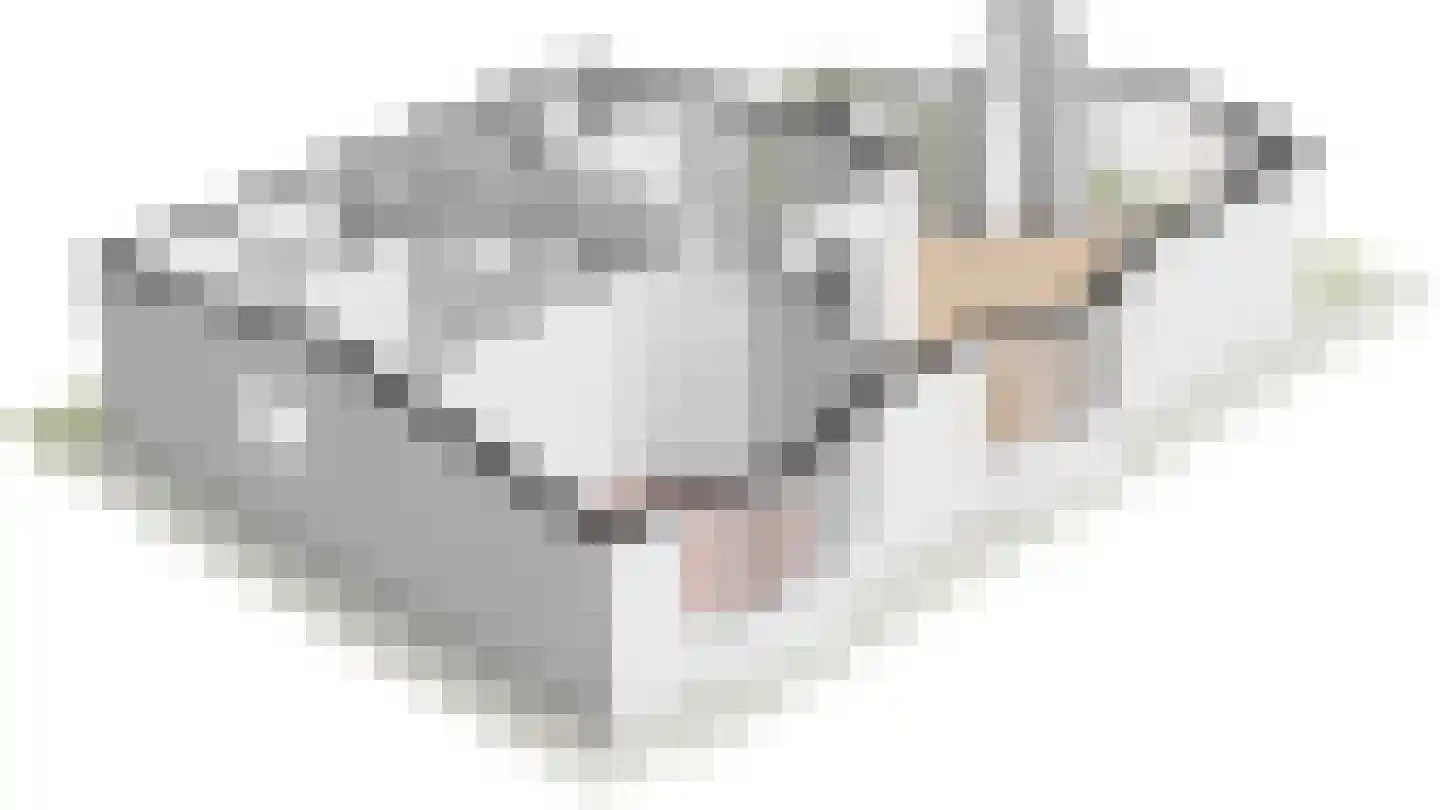Steenbakkersweg 7 386 Erm thumbnail 46