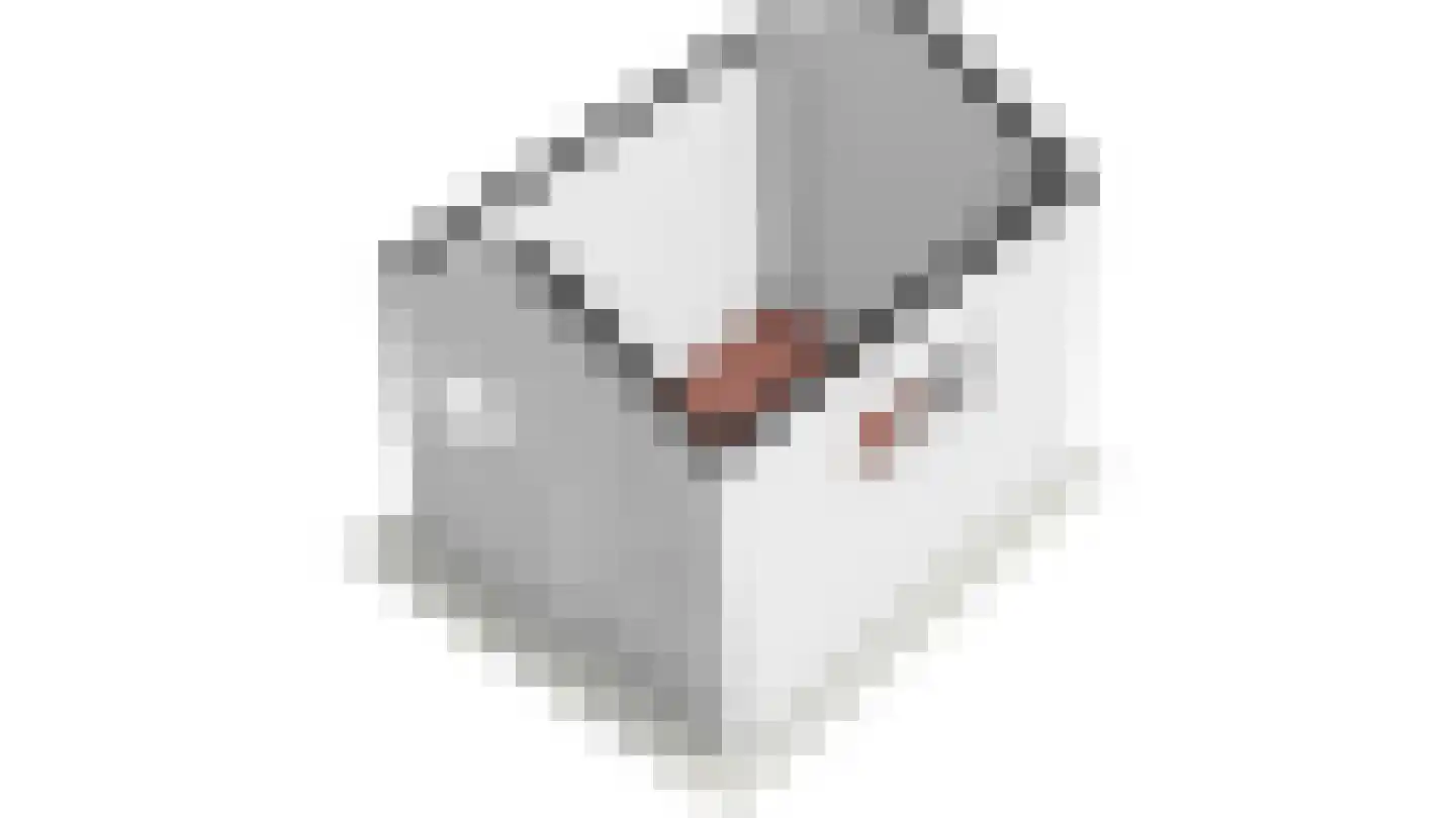 Steenbakkersweg 7 386 Erm thumbnail 48