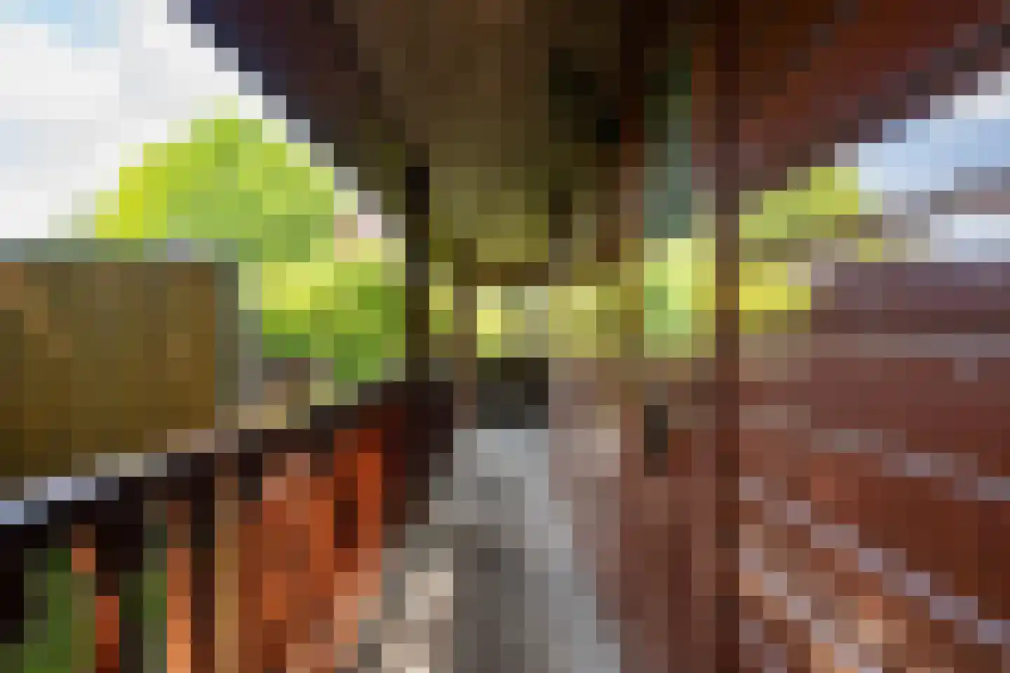 Steenbakkersweg 7 386 Erm thumbnail 7