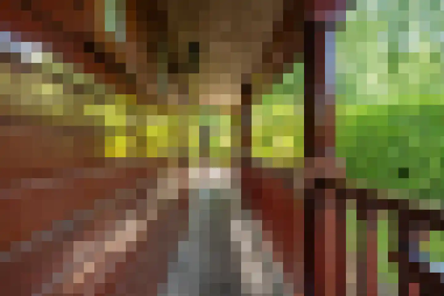 Steenbakkersweg 7 386 Erm thumbnail 8