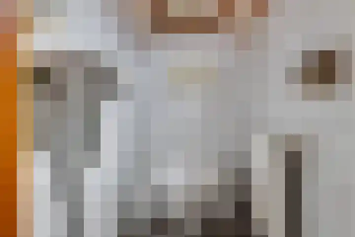 Steenbakkersweg 7 396 Erm thumbnail 10