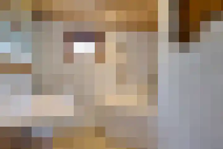 Steenbakkersweg 7 396 Erm thumbnail 11