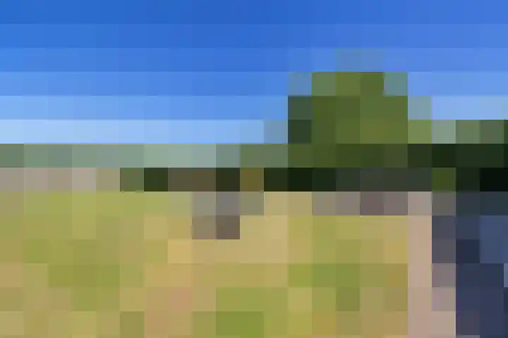 Steenbakkersweg 7 396 Erm thumbnail 35