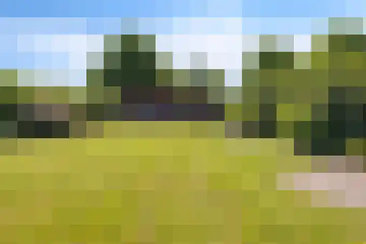 Steenbakkersweg 7 396 Erm thumbnail 36