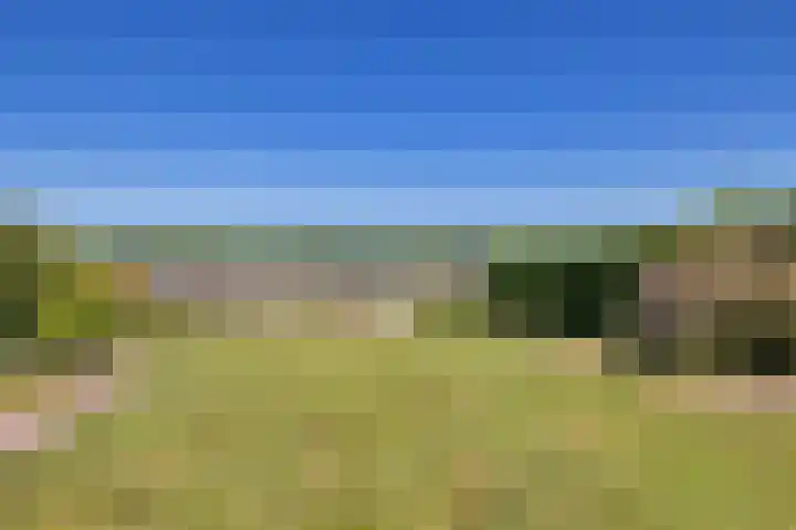Steenbakkersweg 7 396 Erm thumbnail 37