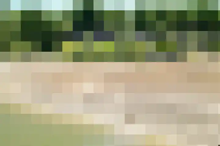 Steenbakkersweg 7 396 Erm thumbnail 41