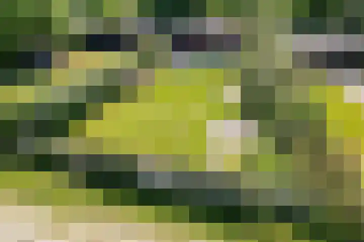 Steenbakkersweg 7 396 Erm thumbnail 42