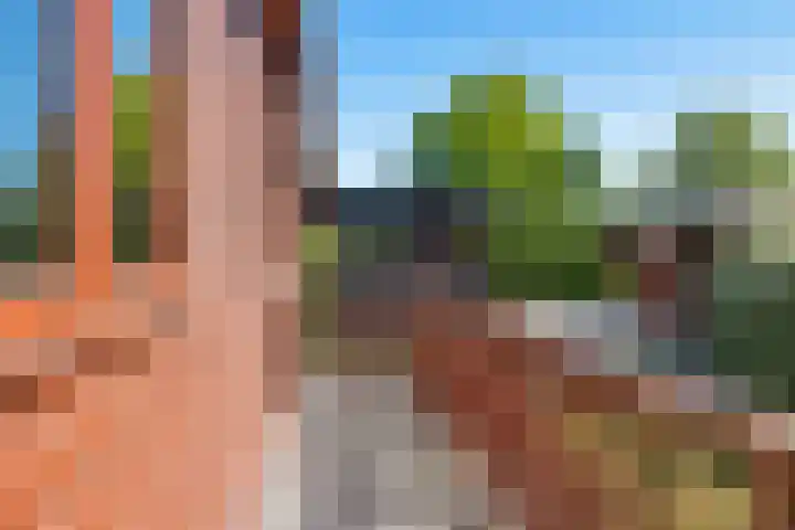 Steenbakkersweg 7 396 Erm thumbnail 45