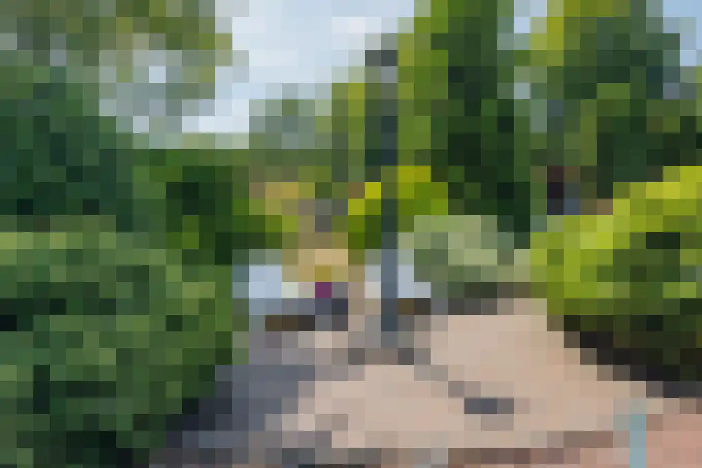 Steenbakkersweg 7 412 Erm thumbnail 10