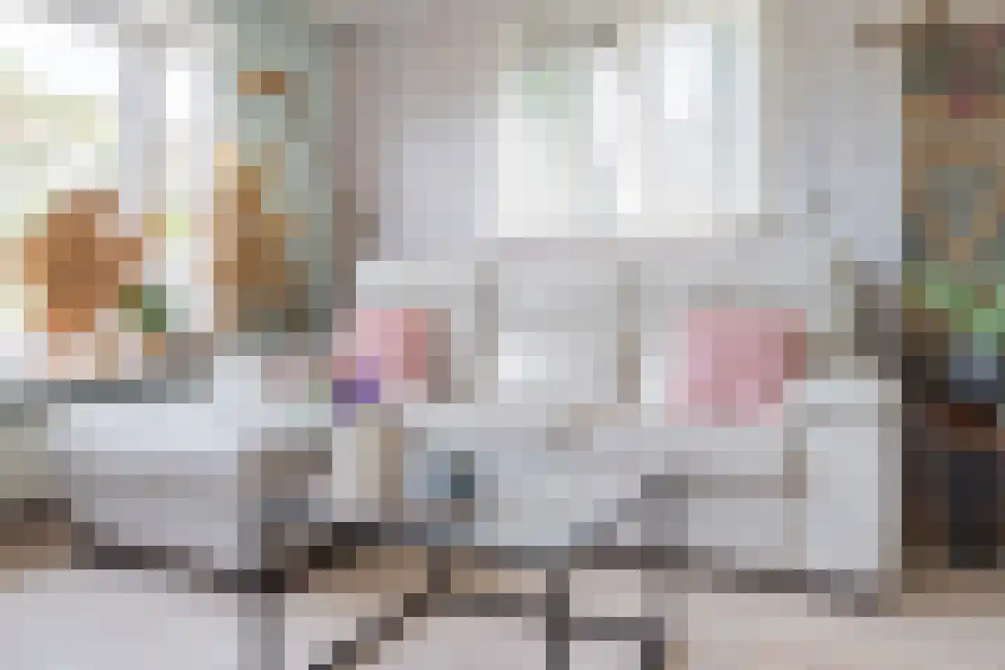 Steenbakkersweg 7 412 Erm thumbnail 23