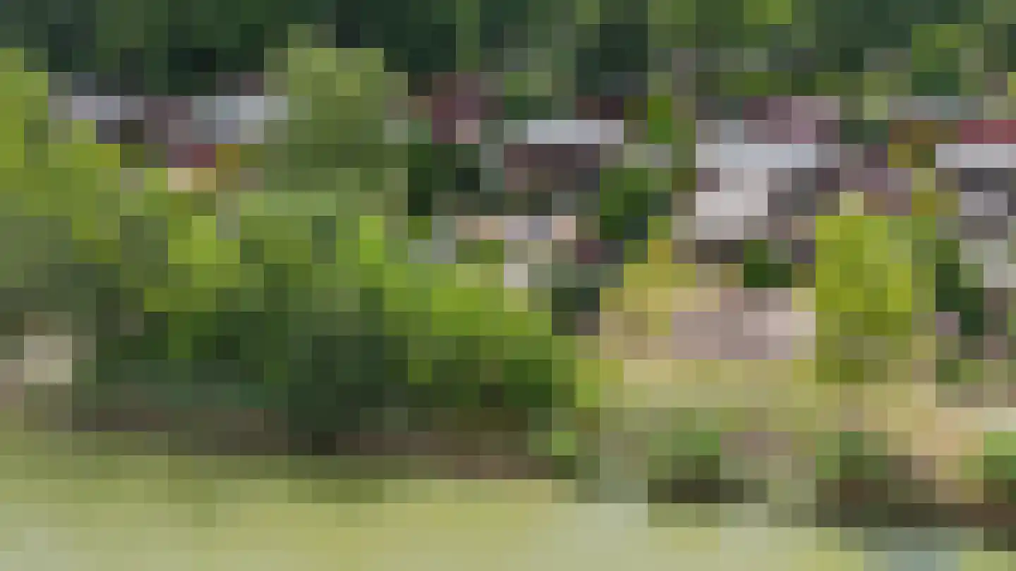 Steenbakkersweg 7 412 Erm thumbnail 4