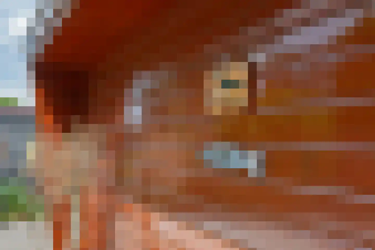 Steenbakkersweg 7 412 Erm thumbnail 41