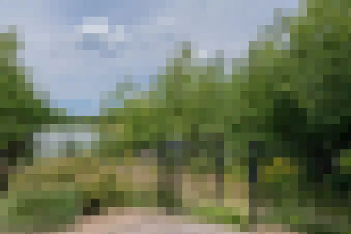 Steenbakkersweg 7 412 Erm thumbnail 9