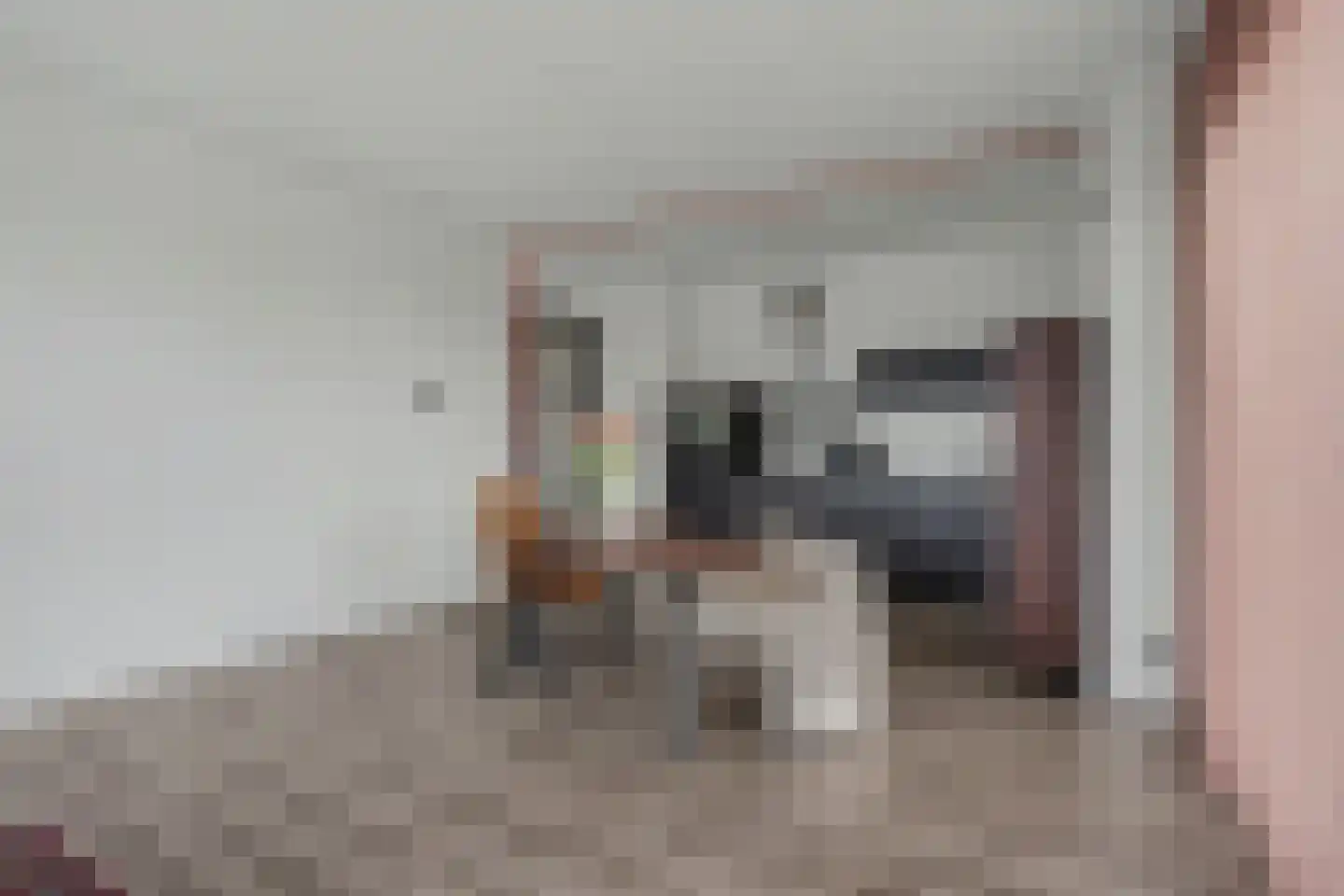 Steenbakkersweg 87 Hengelo thumbnail 8