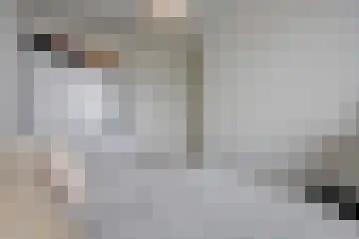 Steenbakkersweg 91 Hengelo thumbnail 21