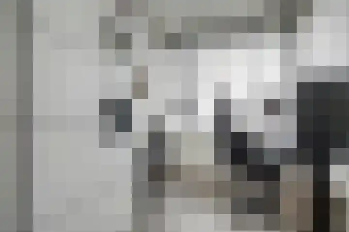 Steenbakkersweg 91 Hengelo thumbnail 22