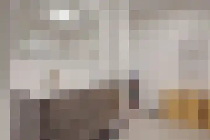 Steenbakkersweg 91 Hengelo thumbnail 24