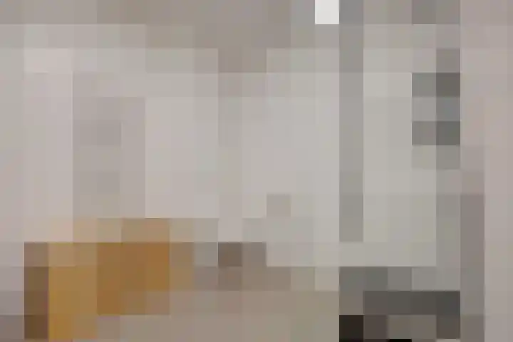 Steenbakkersweg 91 Hengelo thumbnail 25
