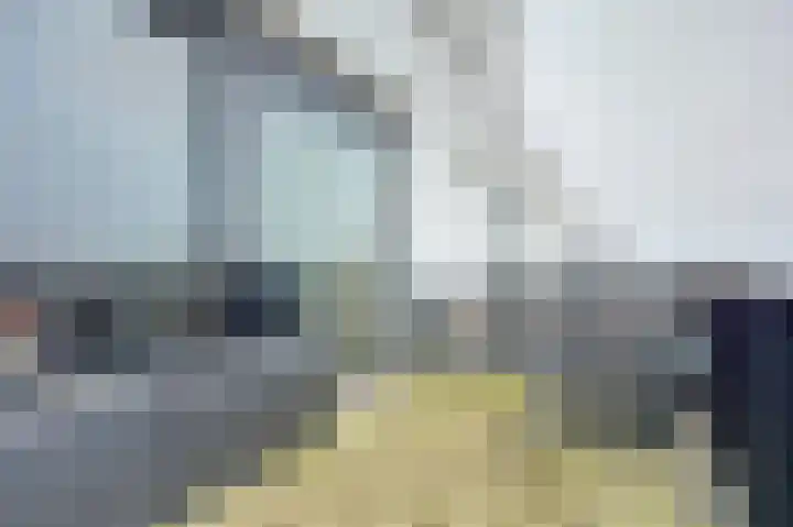 Steenbakkersweg 91 Hengelo thumbnail 30