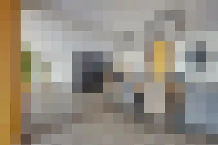 Steenbakkersweg 91 Hengelo thumbnail 35