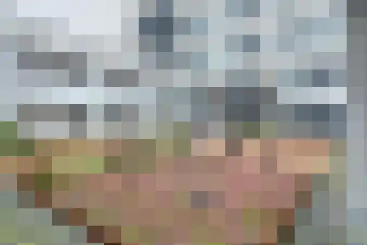 Steenbakkersweg 91 Hengelo thumbnail 38