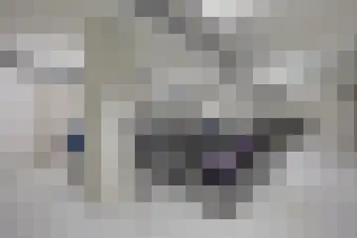 Steenbakkersweg 91 Hengelo thumbnail 40