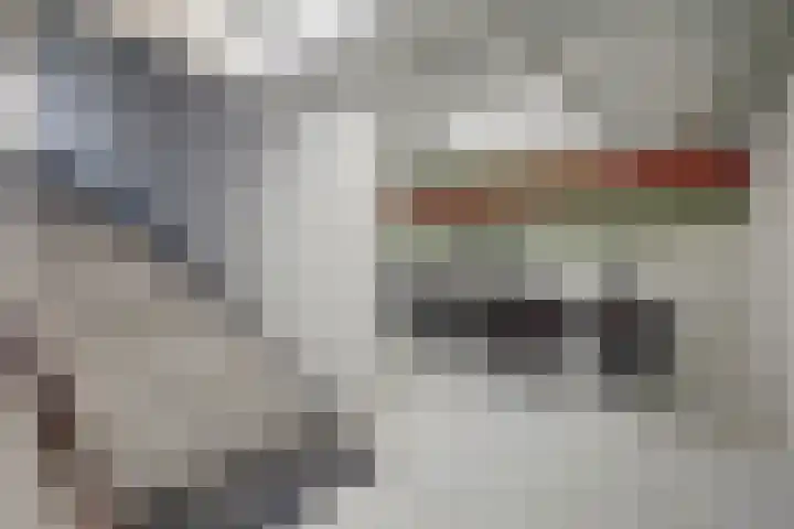 Steenbakkersweg 91 Hengelo thumbnail 41