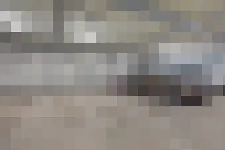 Steenbakkersweg 91 Hengelo thumbnail 42