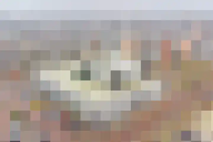 Steenbakkersweg 91 Hengelo thumbnail 44