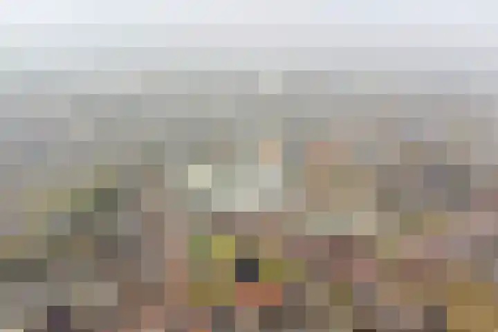 Steenbakkersweg 91 Hengelo thumbnail 45