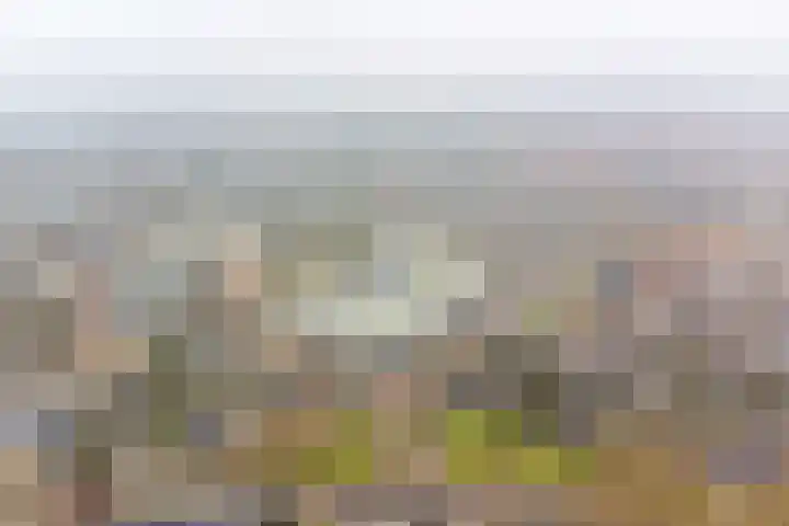 Steenbakkersweg 91 Hengelo thumbnail 46