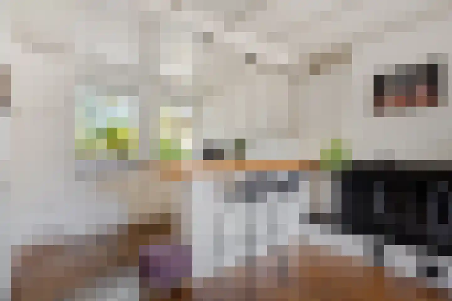 Steenbakkerwei 10 Valkenswaard thumbnail 17